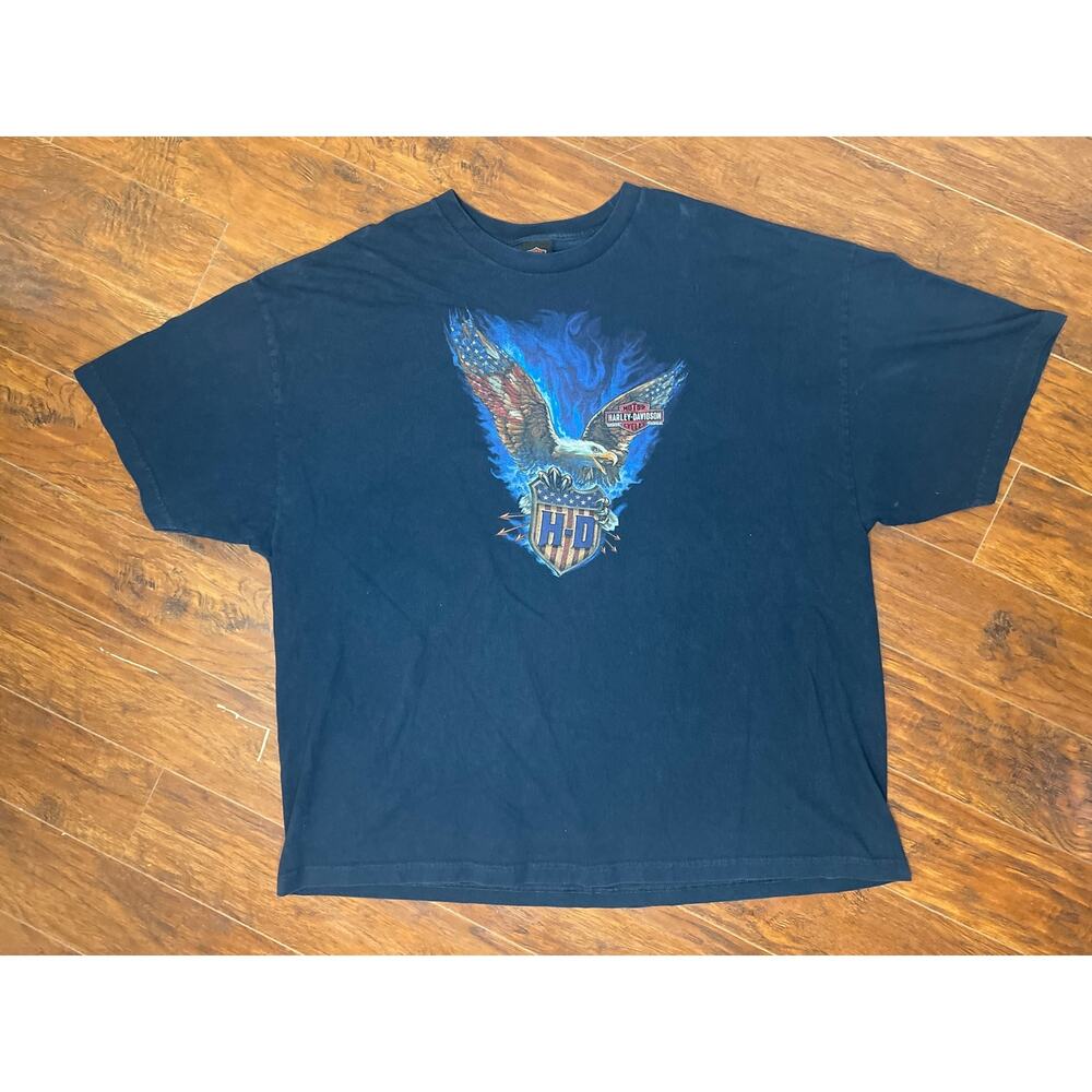 Harley Davidson Eagle Lake Erie Ohio Black Size 4XL